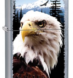 Street Chrome Bald Eagle Zippo Lighter